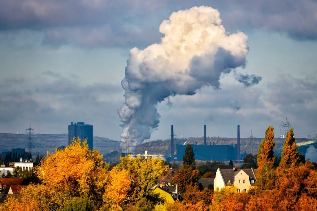 Chimney Cleaning Services